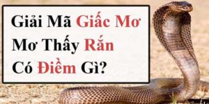 Giấc mơ thấy rắn mang ý nghĩa đặc biệt và sâu xa gì?